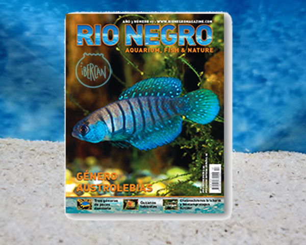 Revista Rio Negro n17