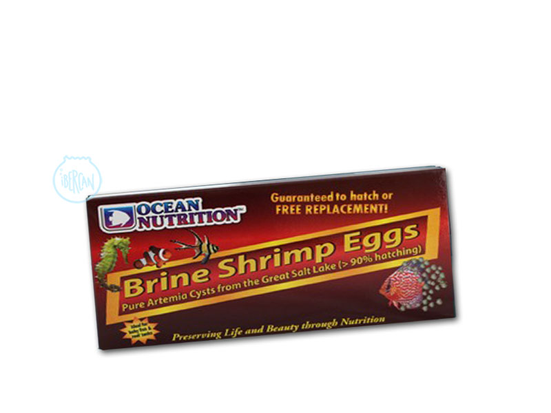 Brine Shrimp Eggs 50g Ocean Nutrition