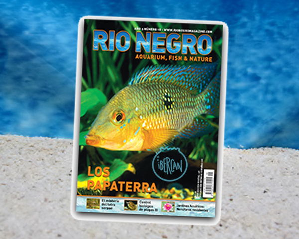 Revista Rio Negro nº18