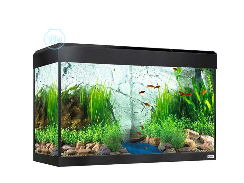 Acuarios de diseo Fluval Roma de 125 litros ahora  iluminacin LED Bluetooth