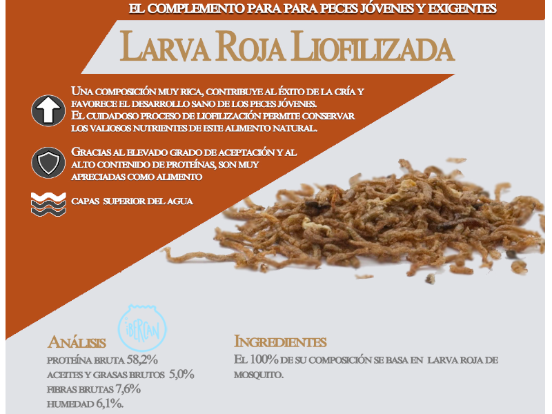 Larvas de mosquito rojas liofilizadas 25grs