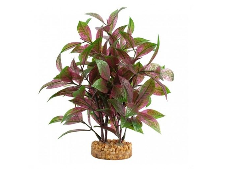 R�plicas de plantas de Fluval Ludwigia 20cm