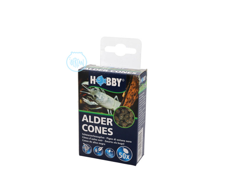 Hobby Alder Cones (piñas de aliso) son conos cosechados de los alnus (Alnus glutinosa). 