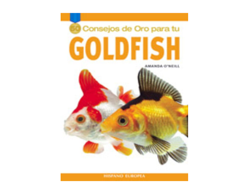 50 Consejos de Oro Para Tu Goldfish
