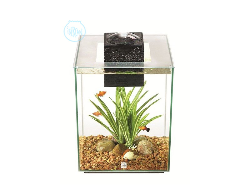 Fluval Chi 19 Litros