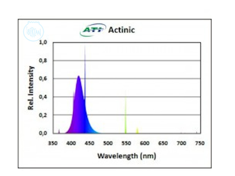 ATI Actinic es un tubo T5 que produce una intensa luz actnica