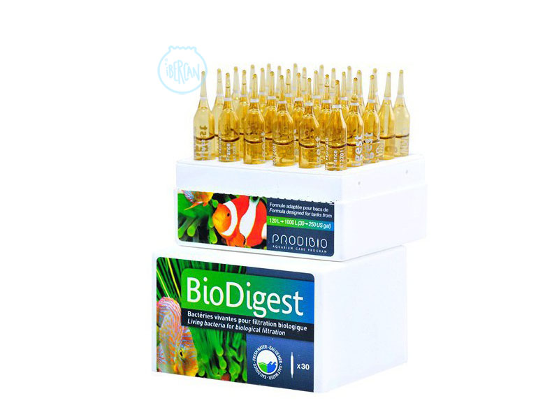 Bacterias Bio Digest ampollas