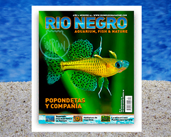 Rio Negro revista