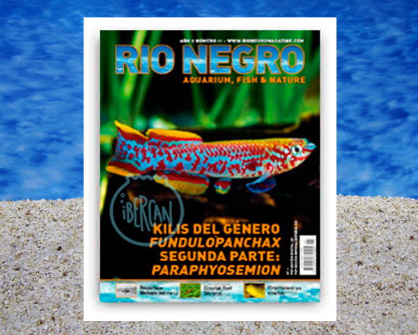 Rio Negro revista