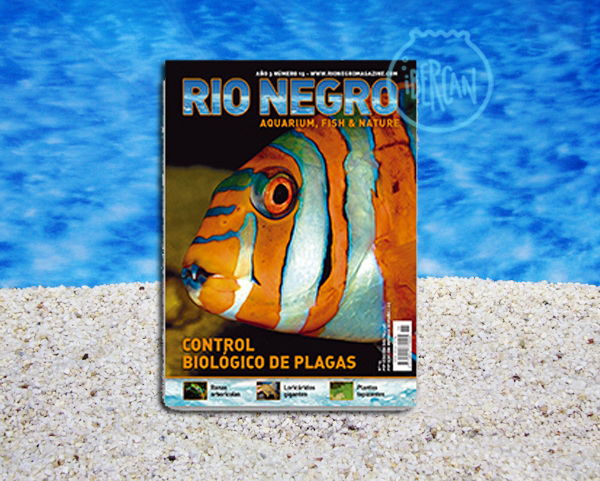 Rio Negro revista