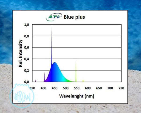 ATI Blue plus tubo T5 para acuarios marinos