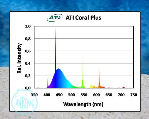 ATI Coral plusl tubo T5 para acuarios marinos