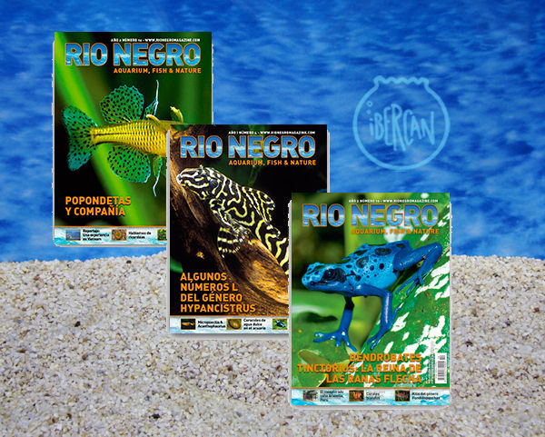 Revistas de peces econmicas - 