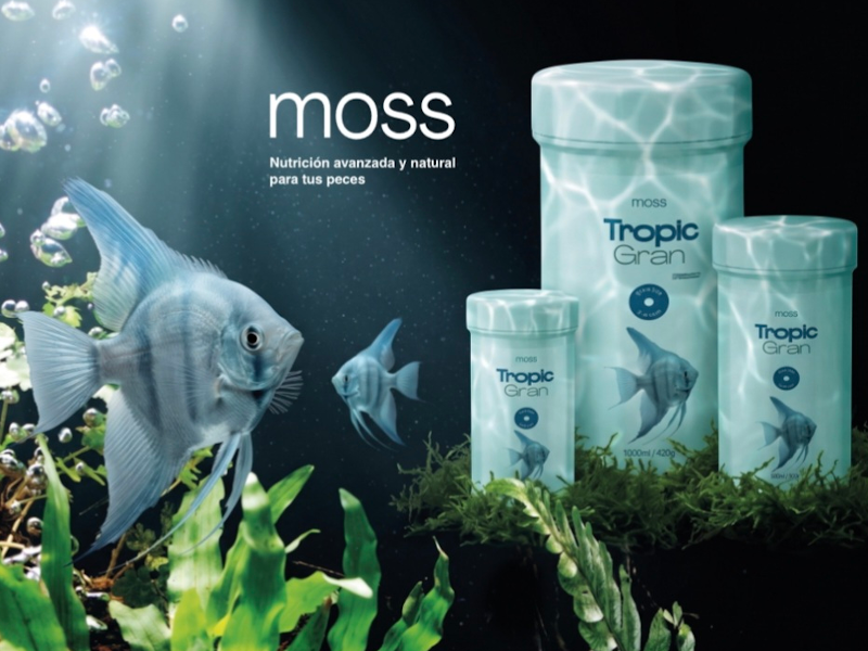 Alimento para peces Moss
